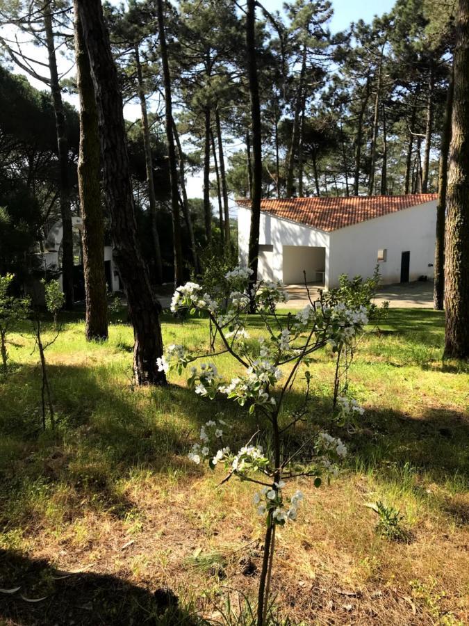 Villa Colares Sintra Eksteriør bilde