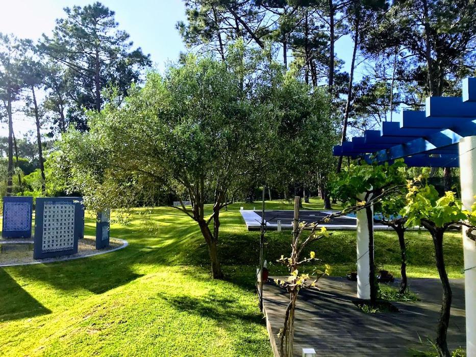 Villa Colares Sintra Eksteriør bilde